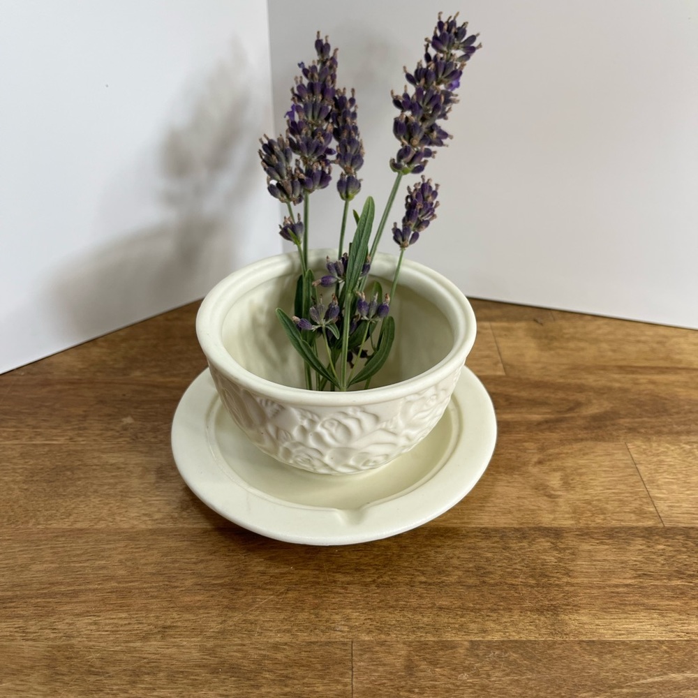 Tiny plants pot